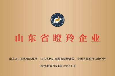 熱烈慶祝自動纏繞包裝機(jī)廠家深藍(lán)機(jī)器榮獲山東省瞪羚企業(yè)榮譽(yù)